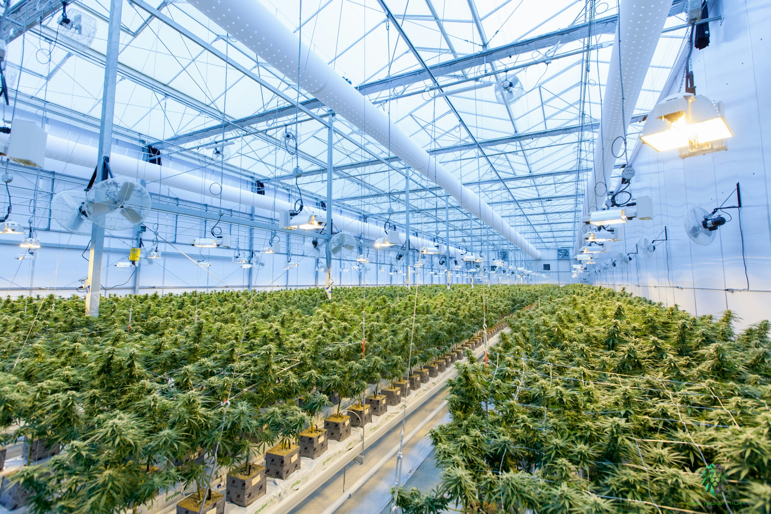 Cannabis Facilities